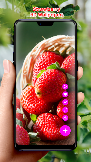 Strawberry HD Wallpapers Screenshot 2