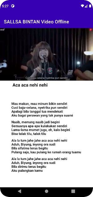 SALSA BINTAN Video Offline Screenshot 1