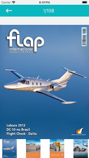 Flap International Screenshot 2