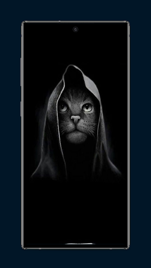 Cat Wallpapers Screenshot 0