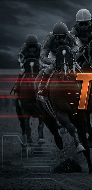 Totogaming Screenshot 0