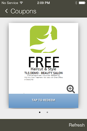 Salon Excelsior Screenshot 2