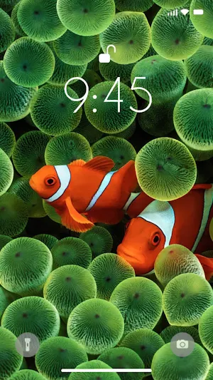Fish Wallpaper 2024 Screenshot 3