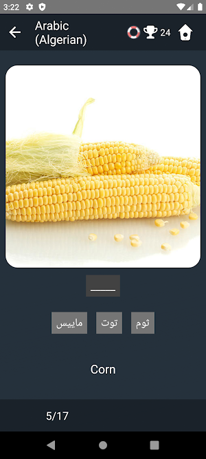 Arabic Algerian Language Tests Screenshot 3