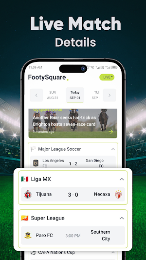 Match Live Football Scores Screenshot 3