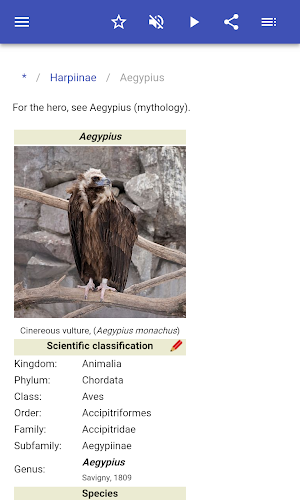 Hawks Screenshot 2