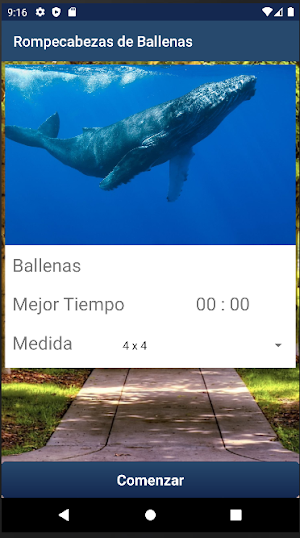 Rompecabezas de Ballenas Screenshot 2