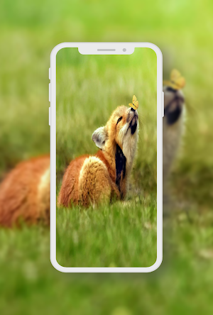 Wildlife Animals Wallpaper Screenshot 3