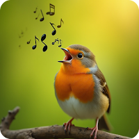 Bird Sounds: Bird Ringtones