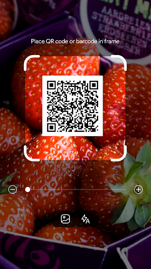 QR Code Scanner: Barcode Scan Screenshot 0