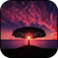 Amazing wallpapers