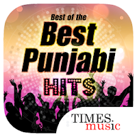 Best of the Best Punjabi Hits