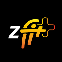 ZFIT+