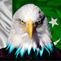Sargodha Shaheen