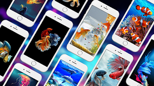 Fish Live Wallpapers Screenshot 0