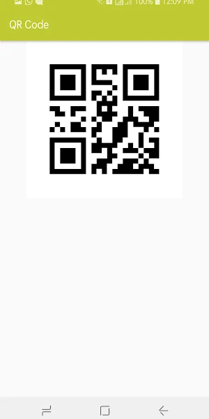 Payment To QR Pro Screenshot 2
