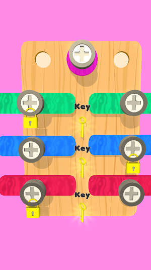 Screw Puzzle - Nuts and Bolts Screenshot 2