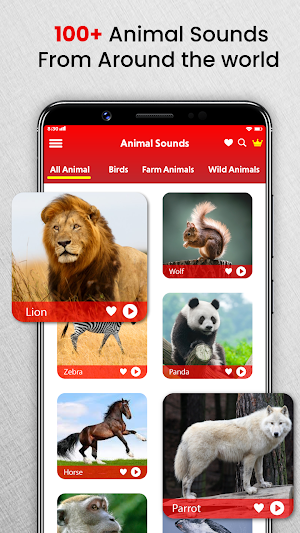 Animal Sounds Birds Ringtones Screenshot 2