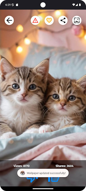 Cats Wallpapers HD Screenshot 2