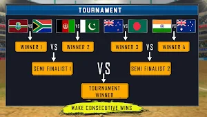 Real World Cricket Tournament 2019- Cricket Games Screenshot 0