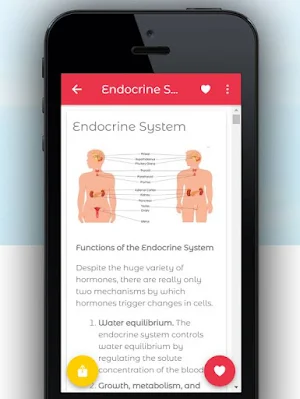 Human Anatomy & Physiology Screenshot 1