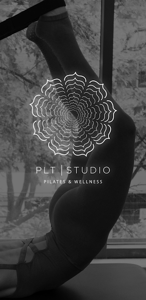 PLT Studio Screenshot 0