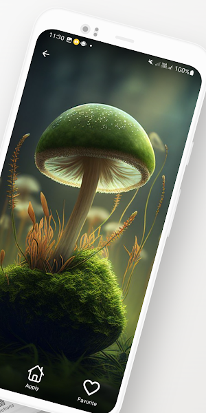 wallpaper and background Screenshot 1