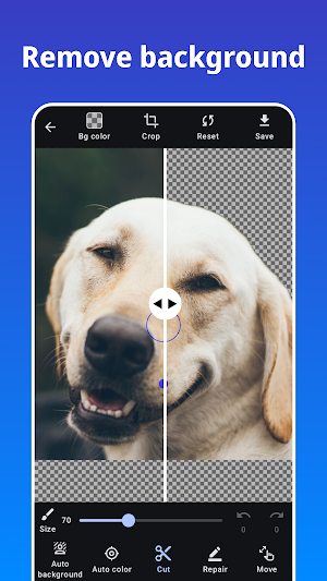 Photo Blur - mosaic editor Screenshot 2