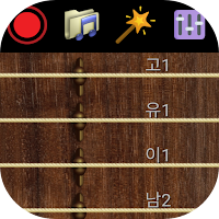 Gayageum - Traditional Musical