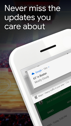 Google Screenshot 2
