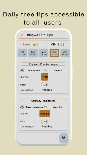 Bingwa Elite Tips Screenshot 1
