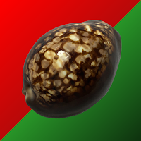 Cowrie dice