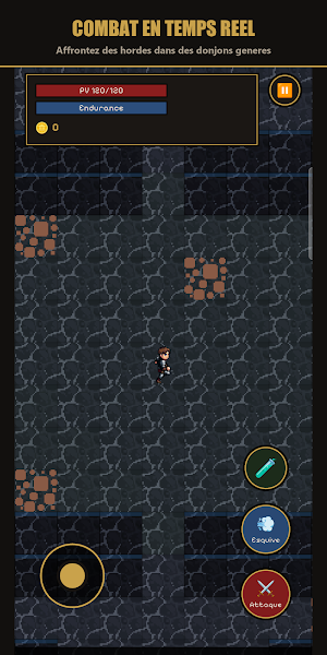 Dungeon Crawler Screenshot 1