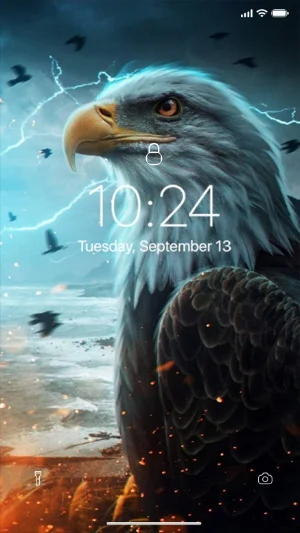 Eagle Wallpaper Screenshot 0