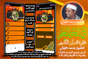القران الكريم مجود محمد الليثي Screenshot 0