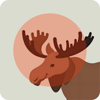 ZOOJI