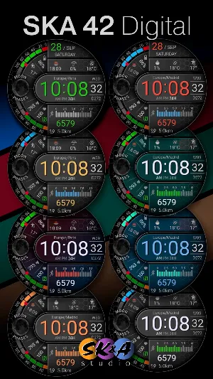 SKA 42 Digital Screenshot 2