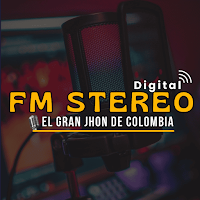 FM Stereo Digital