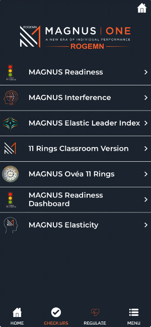 ROGEMN Screenshot 1