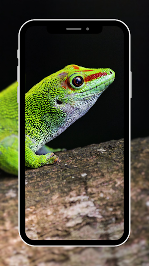 Green Wallpaper Screenshot 0