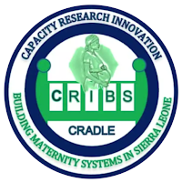CRIBS CRADLE