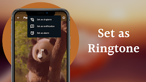 Panda Sounds Screenshot 3