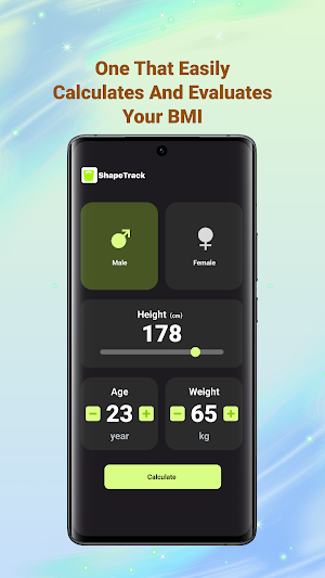 ShapeTrack Screenshot 1