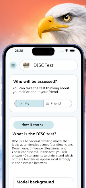DISC Test Screenshot 1