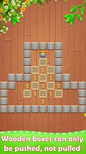 Push Box - Sokoban Puzzle Screenshot 1