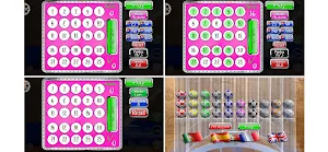 Faciloto Screenshot 1
