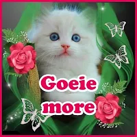 Goeie môre Beelde