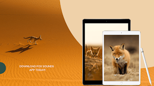 Fox Sounds - Fox Calls Ringtone Screenshot 2