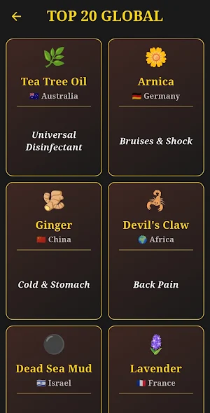 Remedia Naturae Screenshot 3