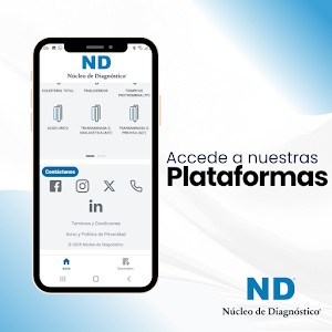 Nucleo DX Screenshot 2